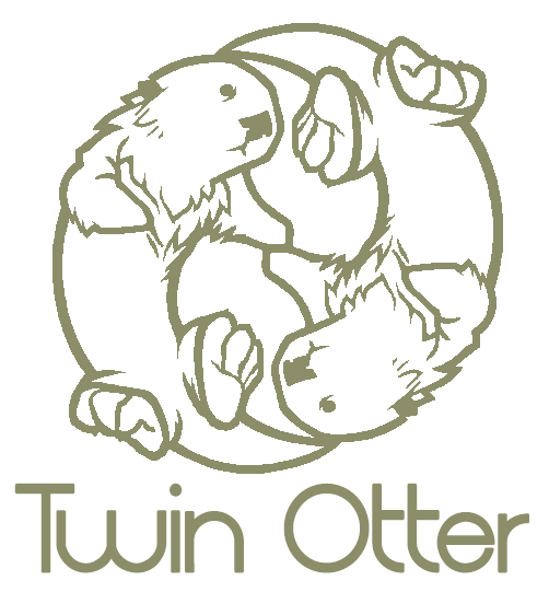 Twin Otter Studios