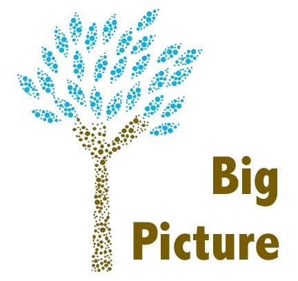 Big Picture Business Services
